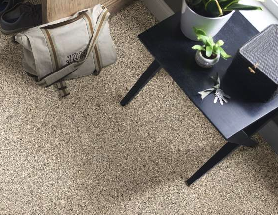 Shaw Floorigami Stay Toned Carpet Tile - Family Friendly Carpet