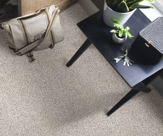 Shaw Gold Texture Carpet