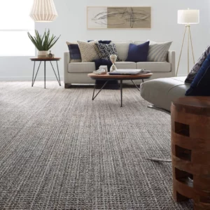 Living Room Carpet Floor | Niemann's American Flooring
