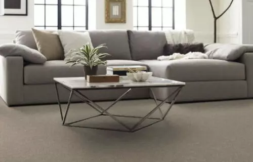 Shaw-Color-Biscotti Living room floor | Niemann's American Flooring