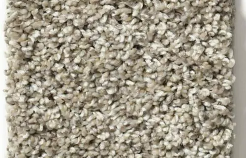 Shaw-carpet-after-it-neutral-ground Shaw carpet | Niemann's American Flooring