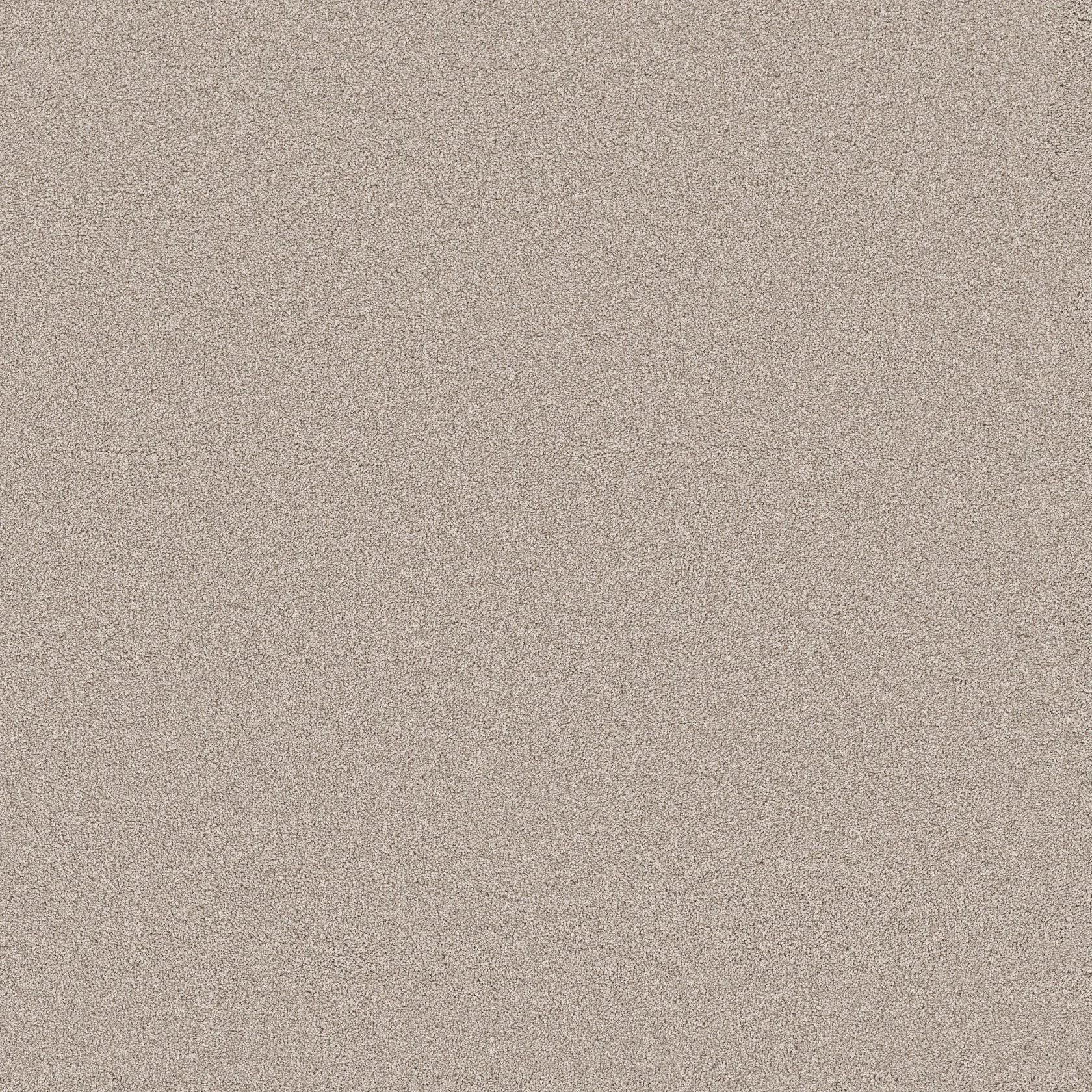 opt_Blended Touch I — Venetian Plaster opt_Blended Touch I — Venetian Plaster