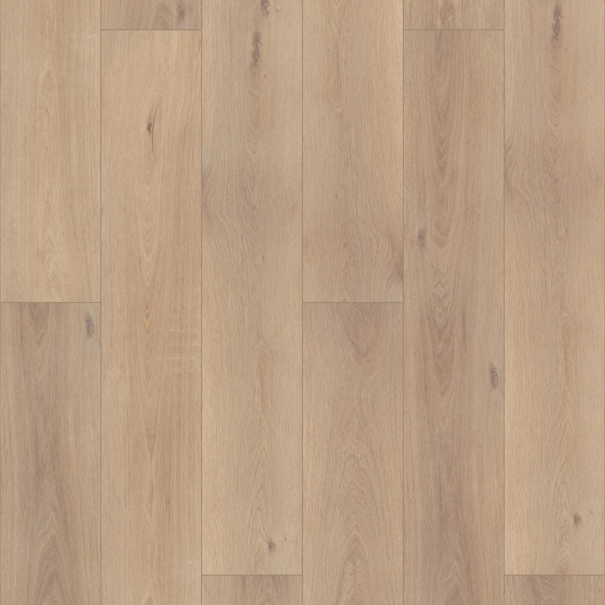 opt_COREtec Pro Premium — Ravenswood Oak_Swatch opt_COREtec Pro Premium — Ravenswood Oak_Swatch