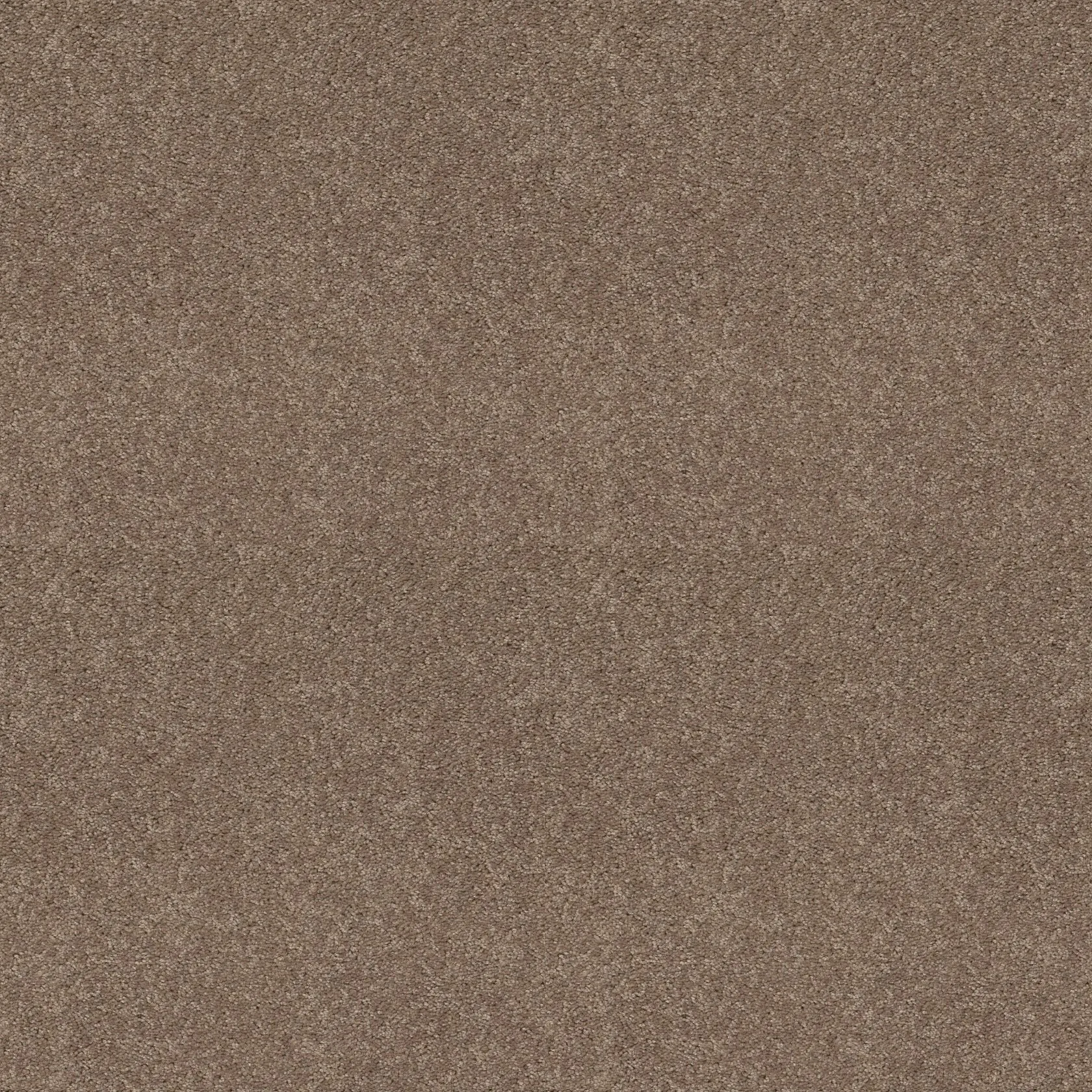 opt_Dyersburg II 12' — Taupe Mist opt_Dyersburg II 12' — Taupe Mist