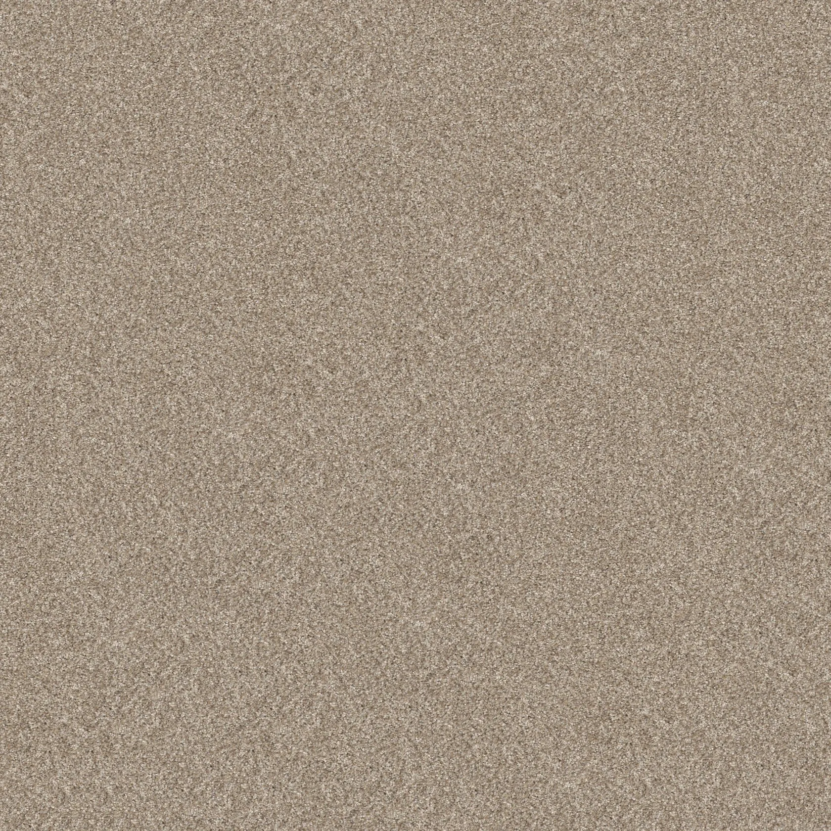 opt_Elevated II — Soft Sand opt_Elevated II — Soft Sand