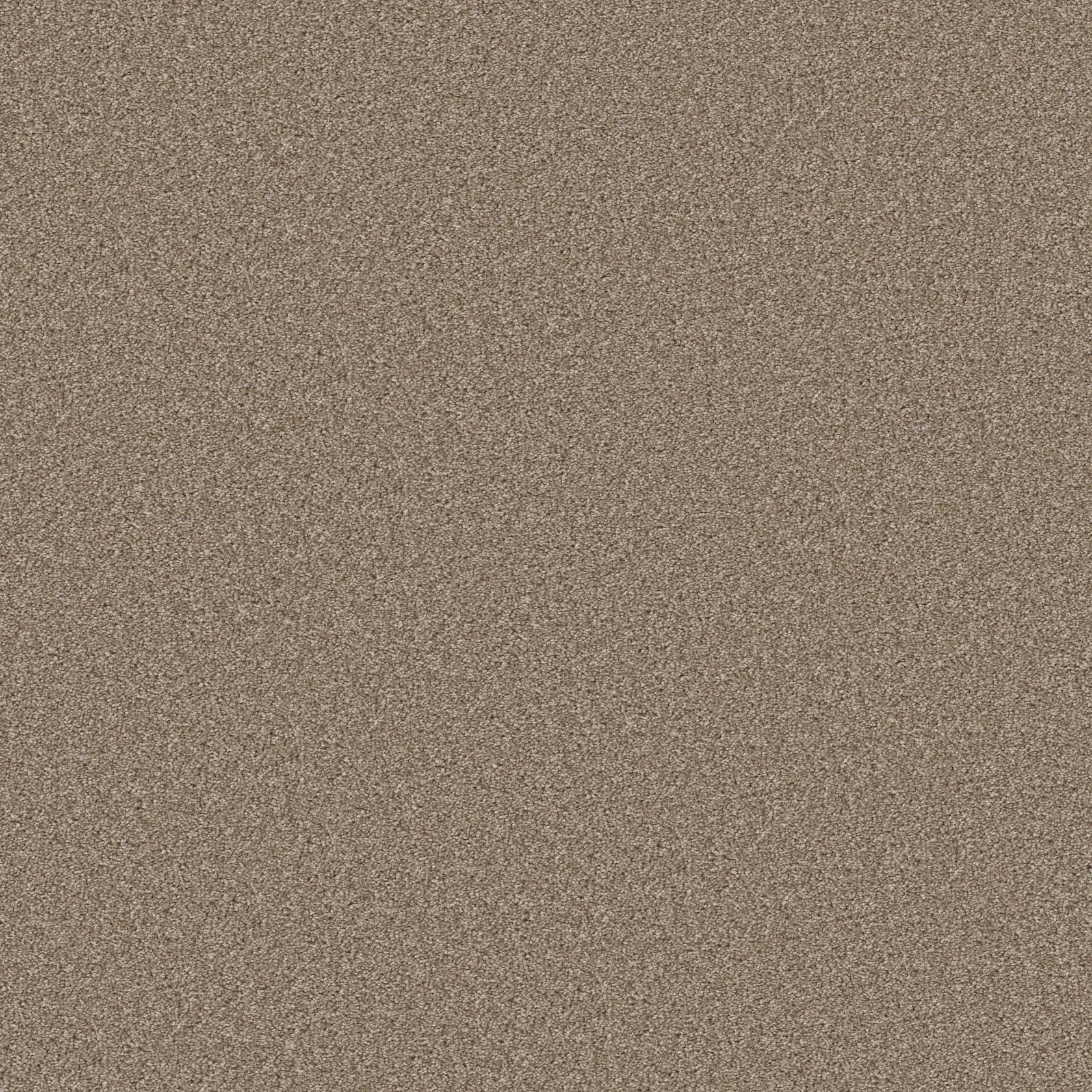 opt_Good Move II — Grecian Tan opt_Good Move II — Grecian Tan