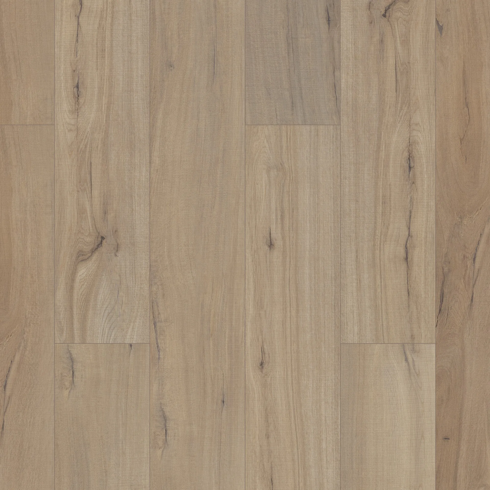 opt_Paladin Plus — Driftwood_Swatch opt_Paladin Plus — Driftwood_Swatch