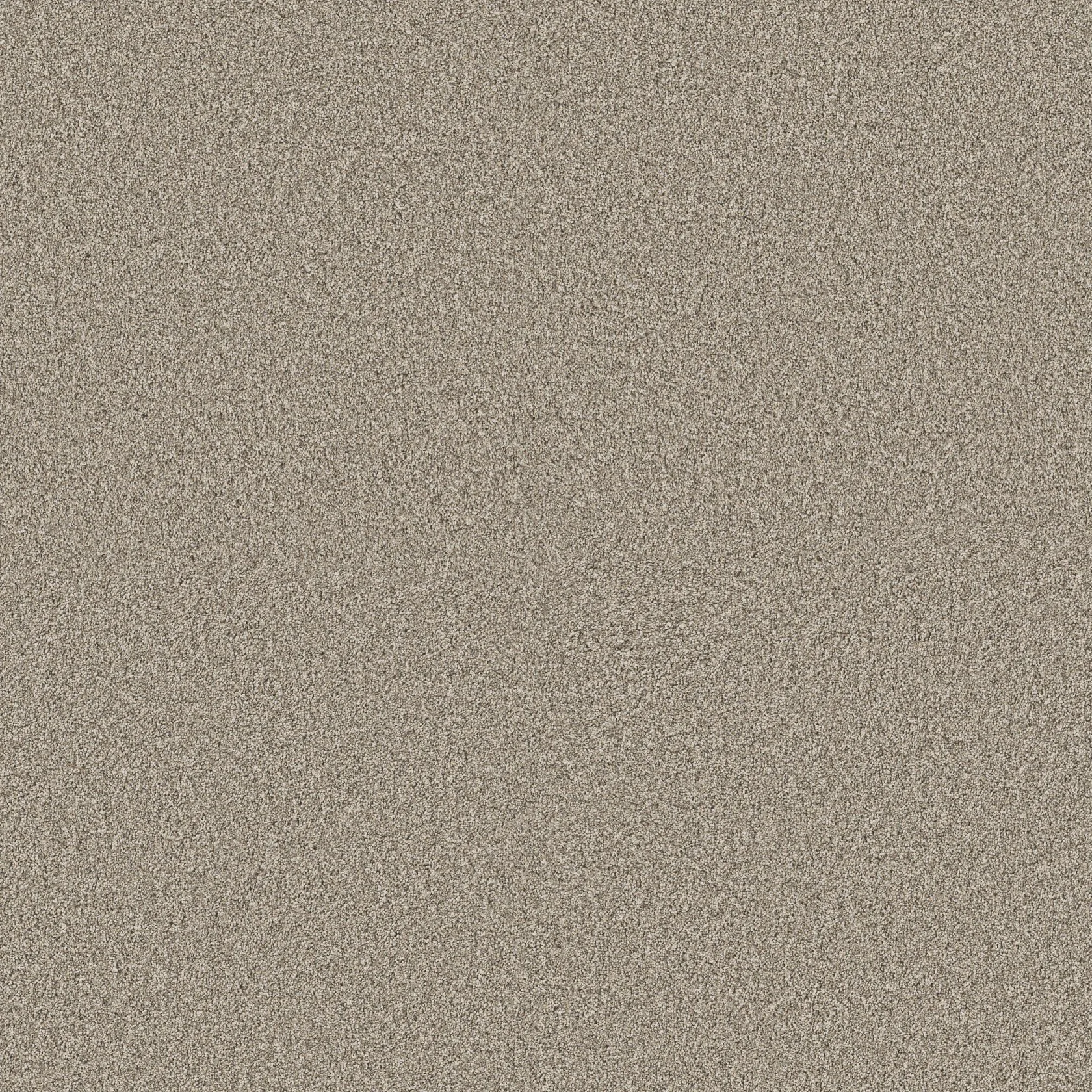 opt_Timeless Tone Blue — Chateau opt_Timeless Tone Blue — Chateau