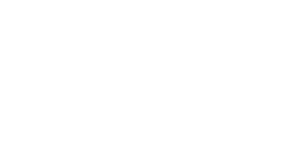 Niemann's American Flooring